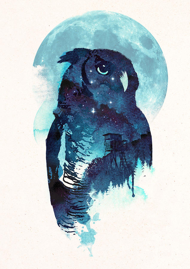 Midnight Owl Mixed Media by Robert Farkas