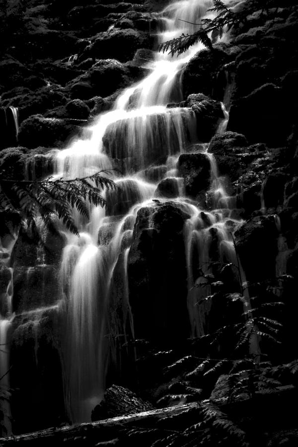 Midnight Proxy Falls Photograph by Wes and Dotty Weber
