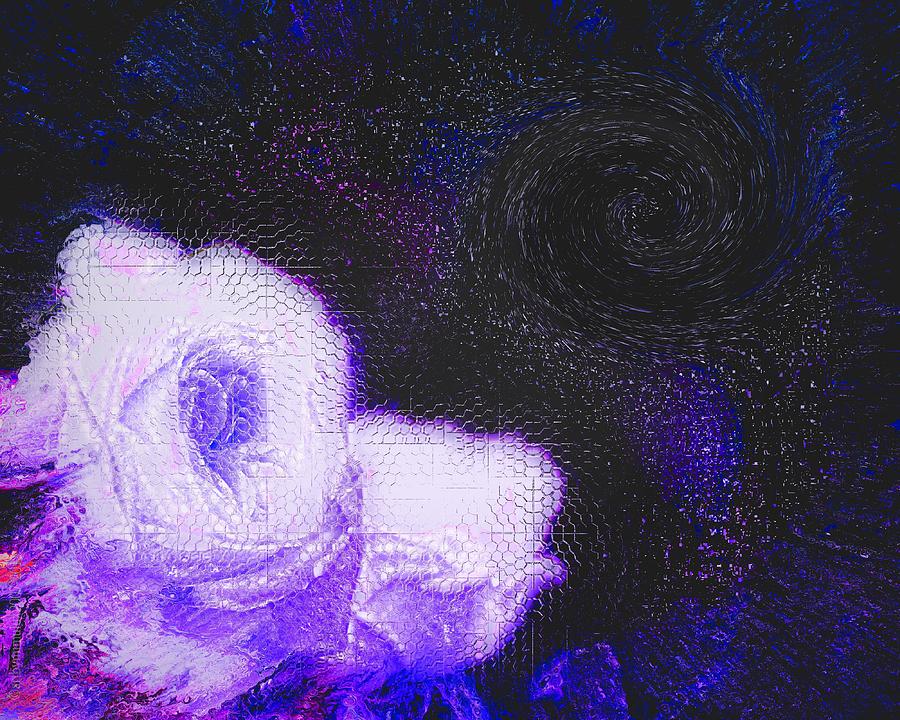 Midnight Rose Digital Art by Mimulux Patricia No