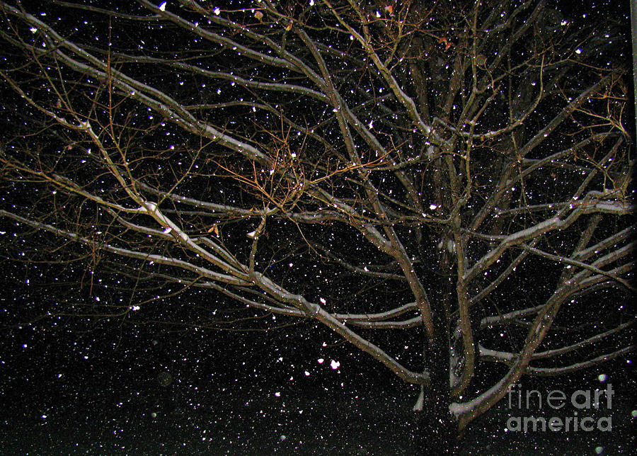 Midnight Snow Photograph by Karin Everhart
