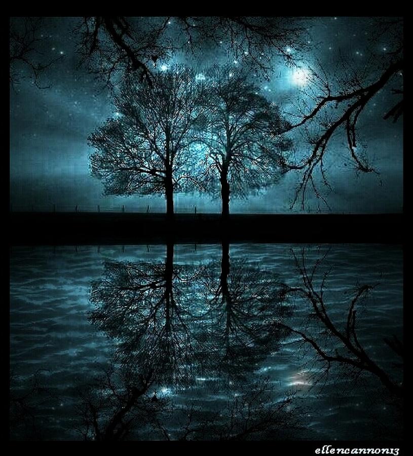 Tree Photograph - Midnight Stroll by Ellen Cannon