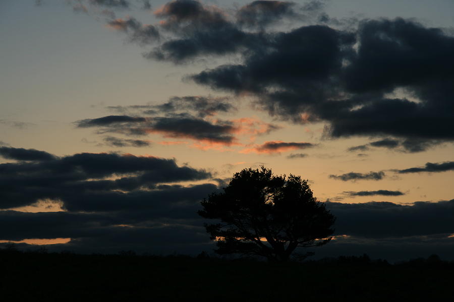 Sunset Photograph - Farm Pasture Midnight Sun  by Neal Eslinger
