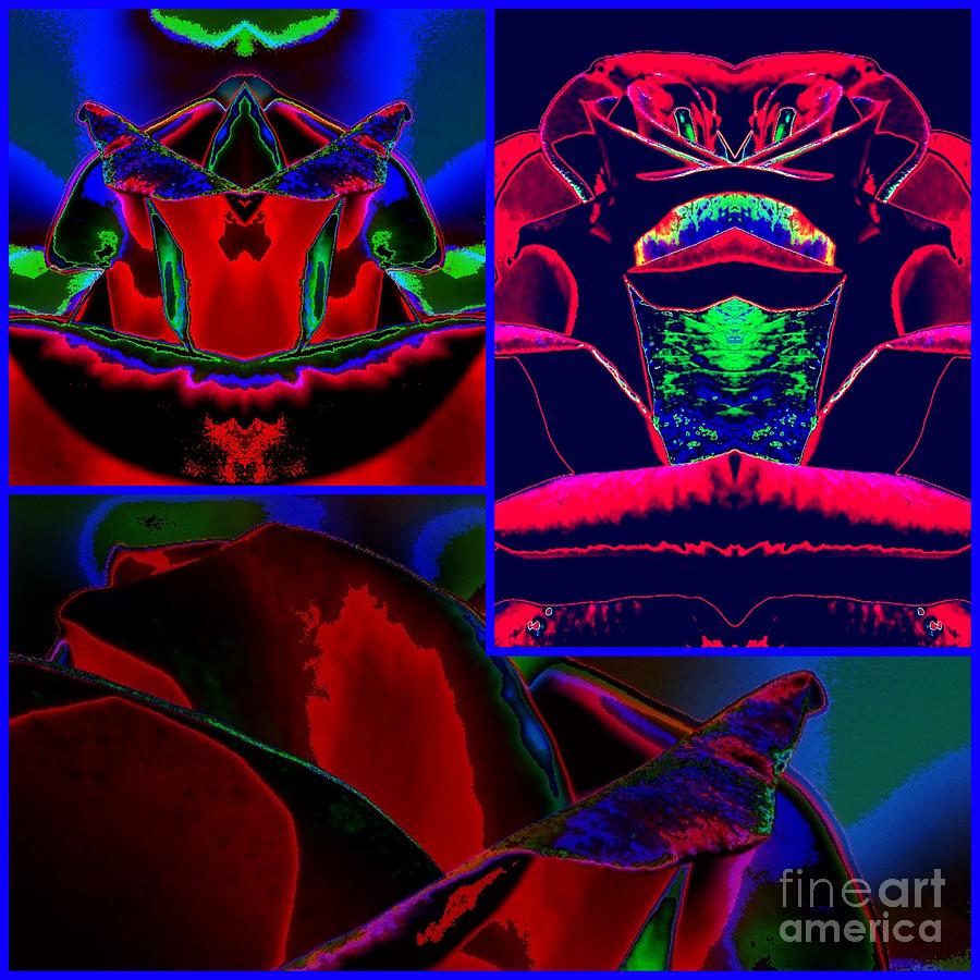 Rose Digital Art - Midnight Velvet by Lorles Lifestyles Rose Digital Art - Midnight Velvet by Lorles Lifestyles