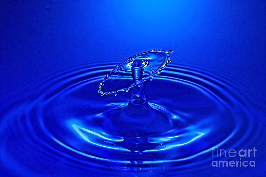 Midnight Water Drop Photograph by Les Palenik