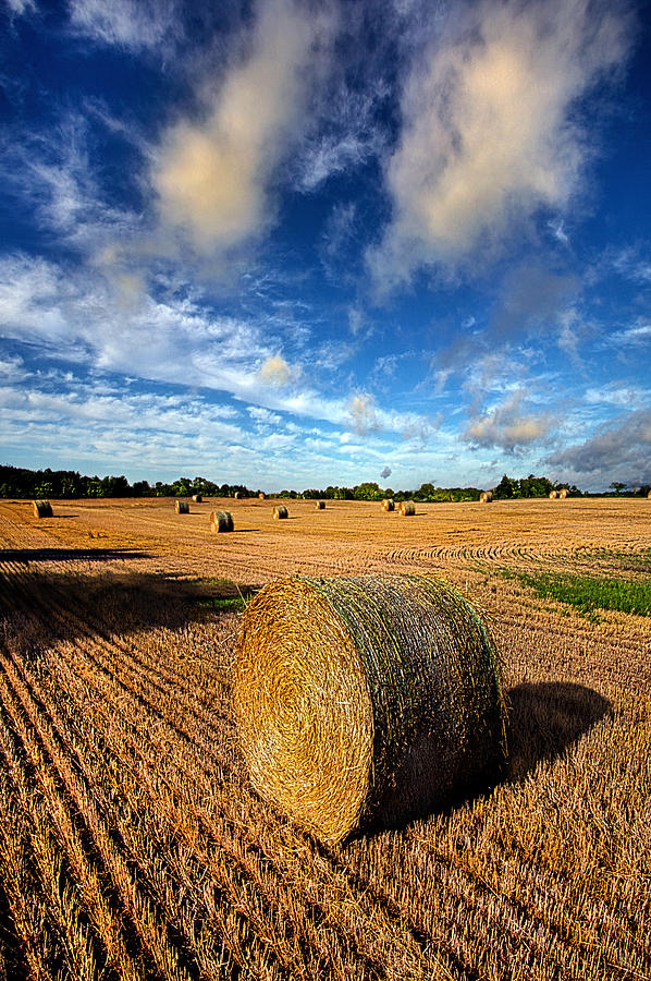 Midsummer Harvest Photograph by Phil Koch