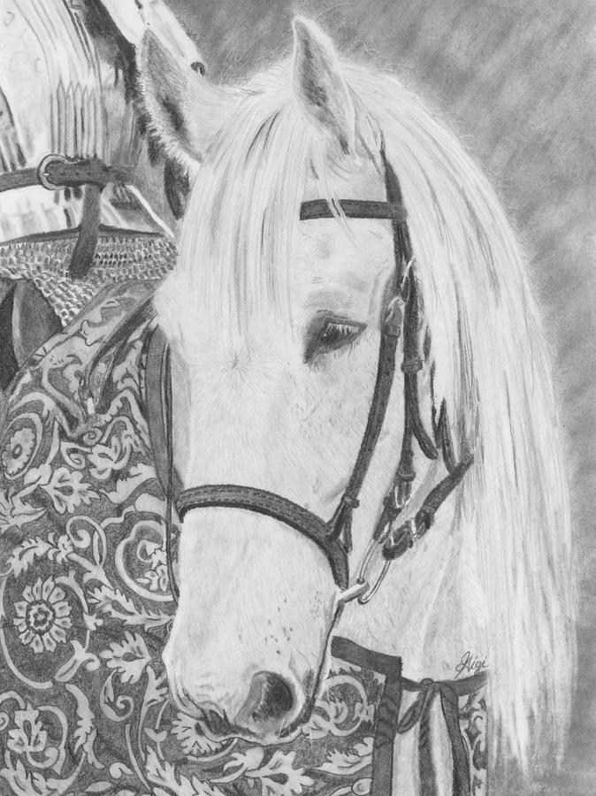 Midsummer Knight Majesty Drawing by Gigi Dequanne