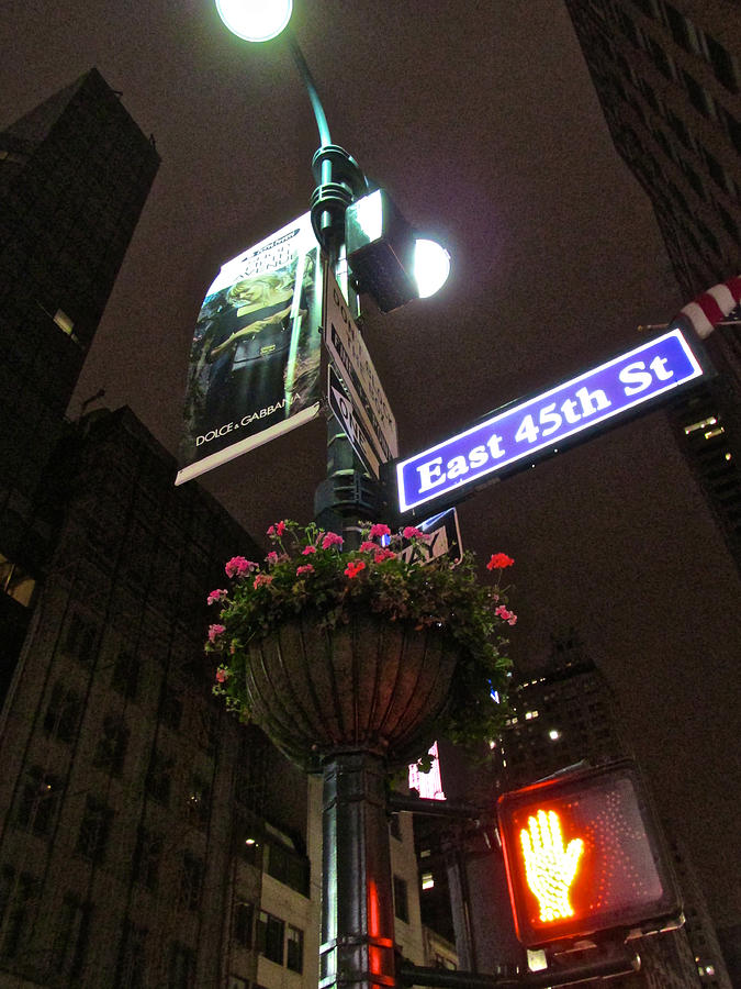 Midtown Lamp Photograph by Steven Lapkin