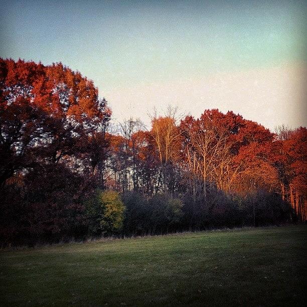 Midwest Is Best.....during Fall Photograph by Jamie Curran