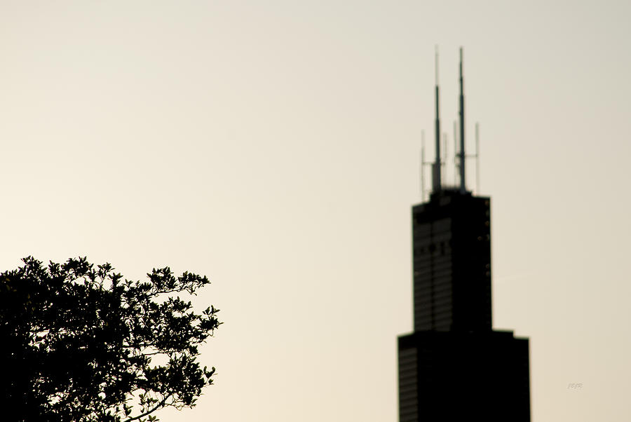 Sears Tower Photograph - Midwest Symbol by James Blackwell JR