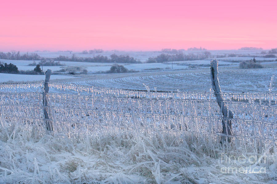 Winter Photograph - Midwest Winter by E B Schmidt