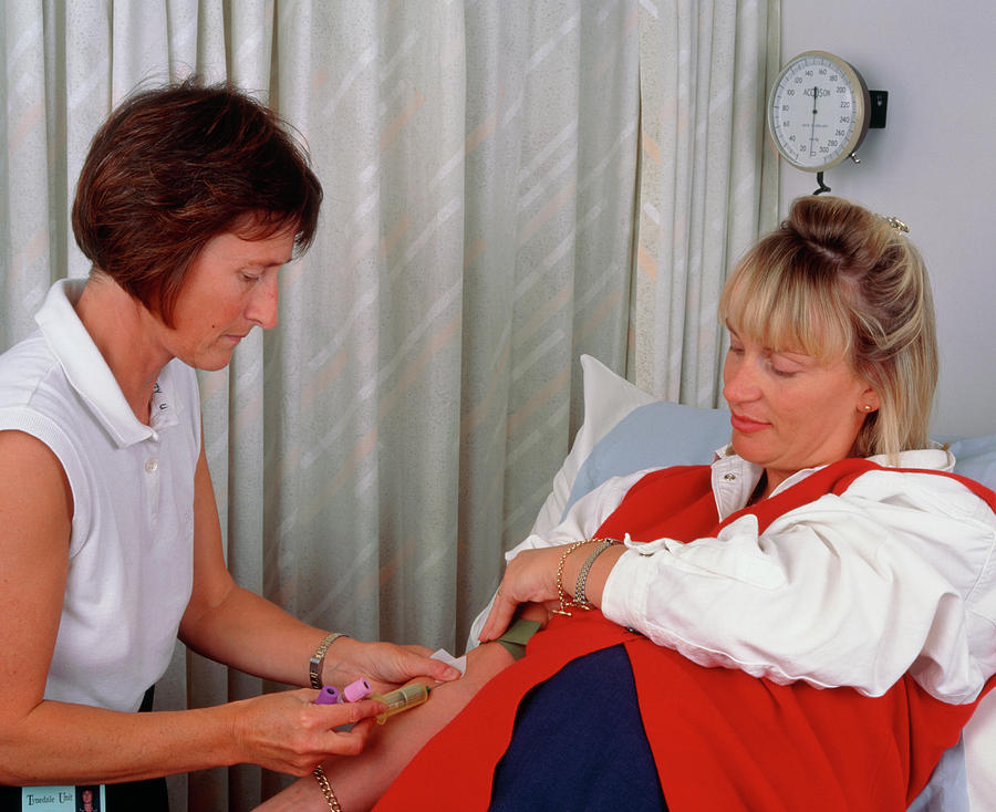 Blood Sample Photograph - Midwife Taking Blood Sample From Pregnant Woman by Simon Fraser/science Photo Library