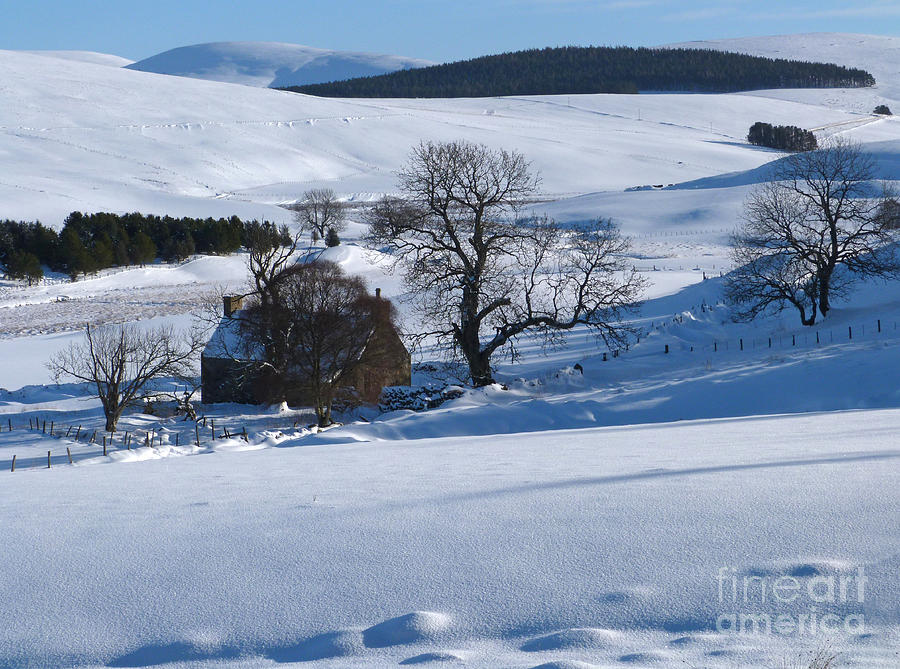 Midwinter at Deskry, Aberdeenshire - Scotland Photograph by Phil Banks