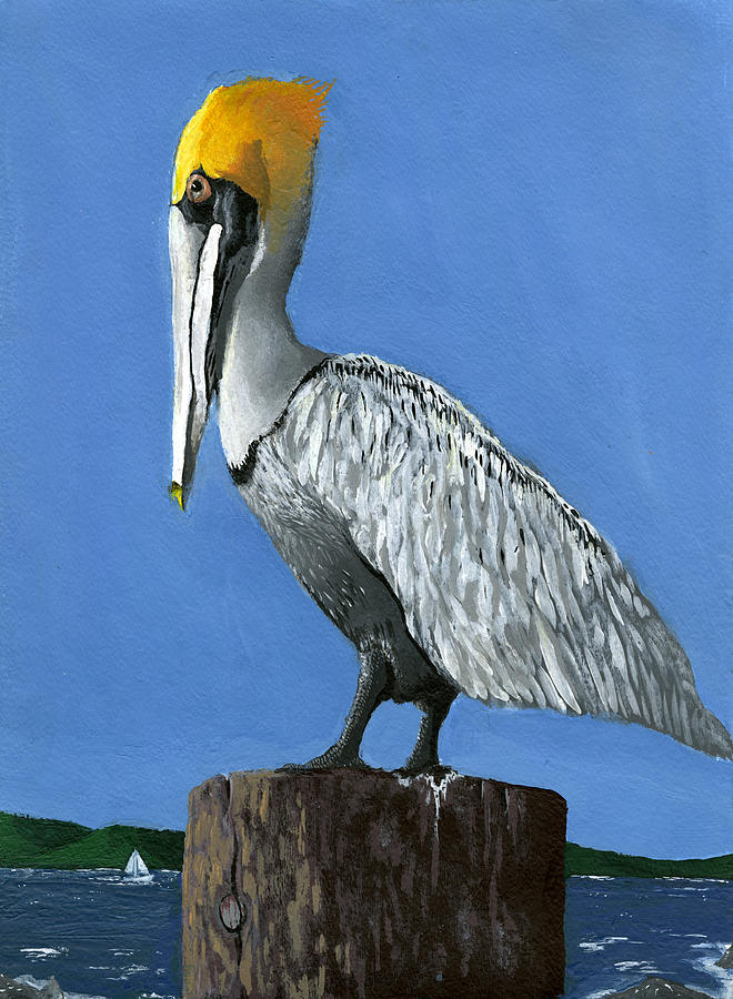 Pelican Painting - Mighty Observer by Joseph Dickinson by California Coastal Commission