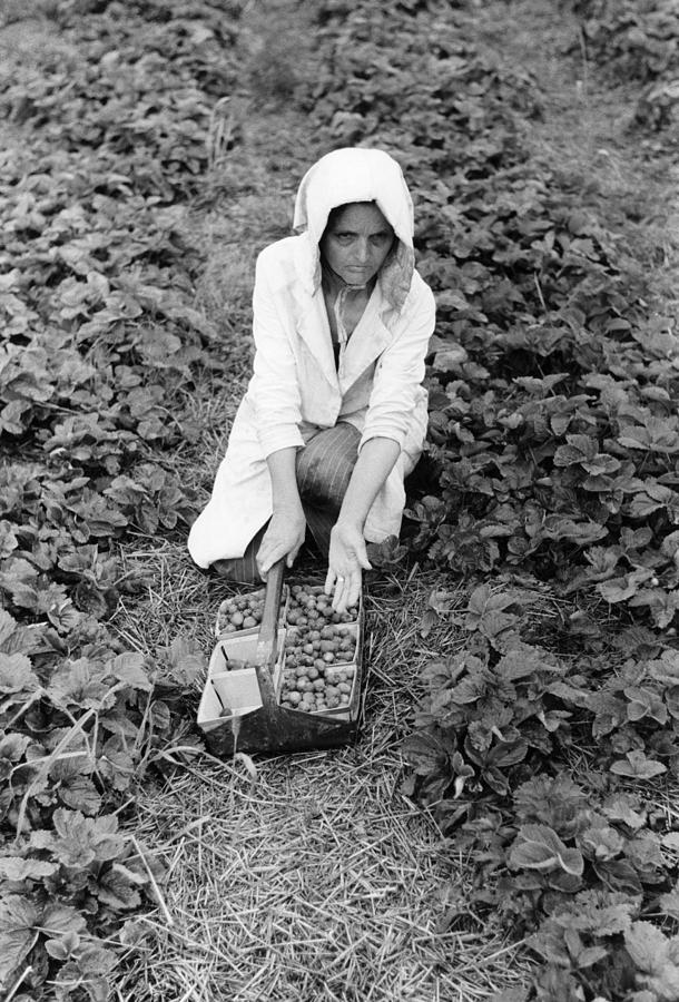 Migrant Worker 1930s Photograph By Granger Pixels