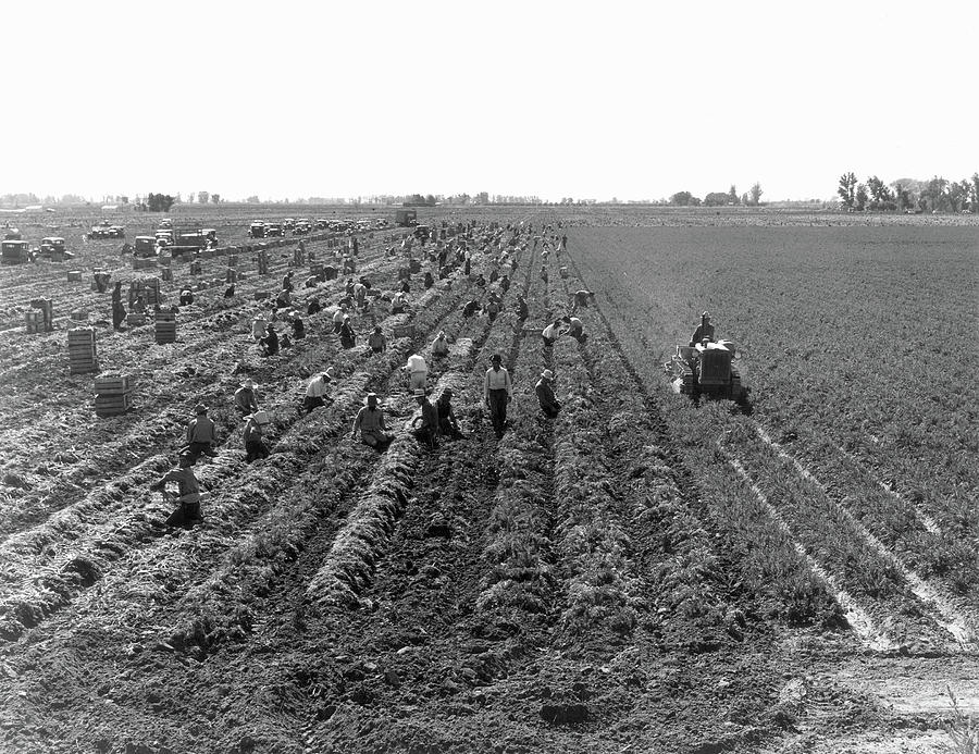 Migrant Workers, 1934 Photograph by Granger - Fine Art America