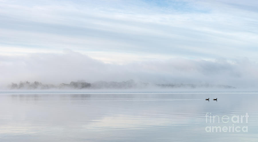Milarrochy in the mist Photograph by Richard Burdon