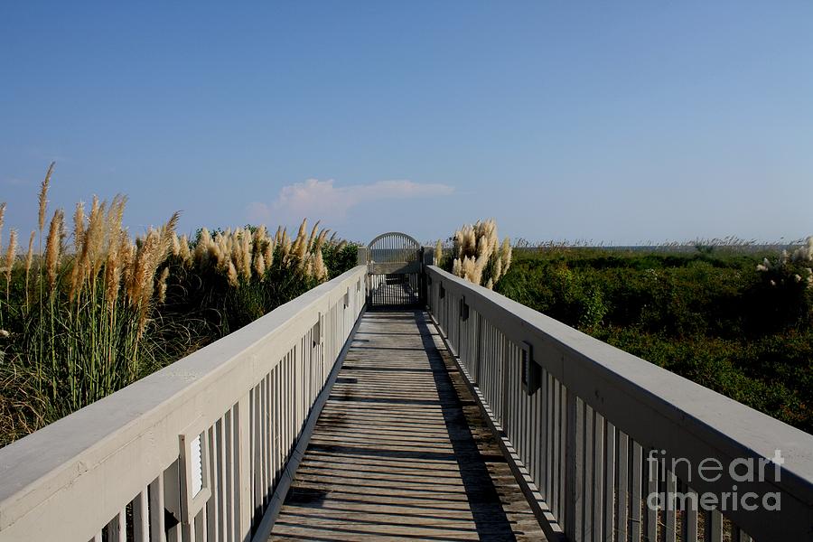 Miles of Boardwalk Photograph by Michael Grubb
