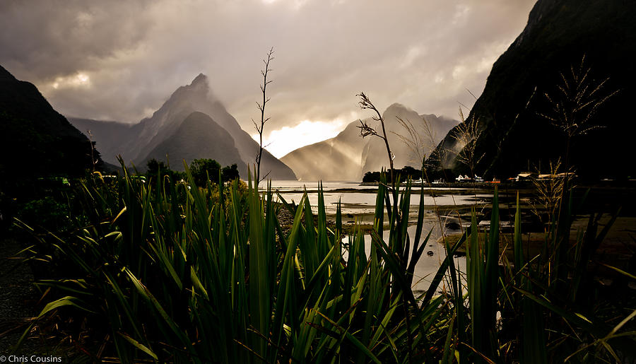 Milford Sound Photograph by Chris Cousins