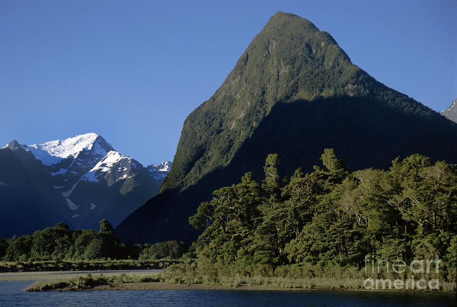 Milford Sound New Zealand Photograph by Craig Lovell