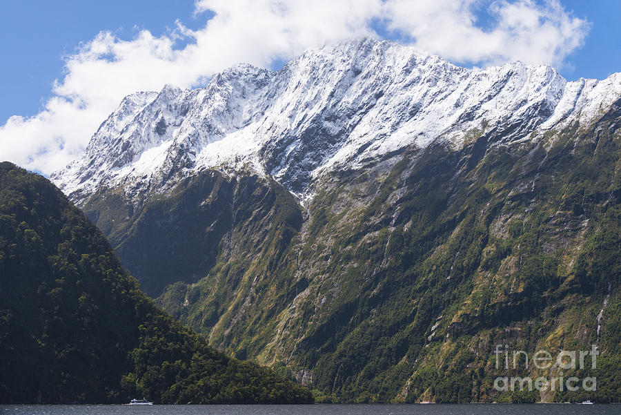 Milford Sound Snow Covered Peaks Photograph by Bob Phillips