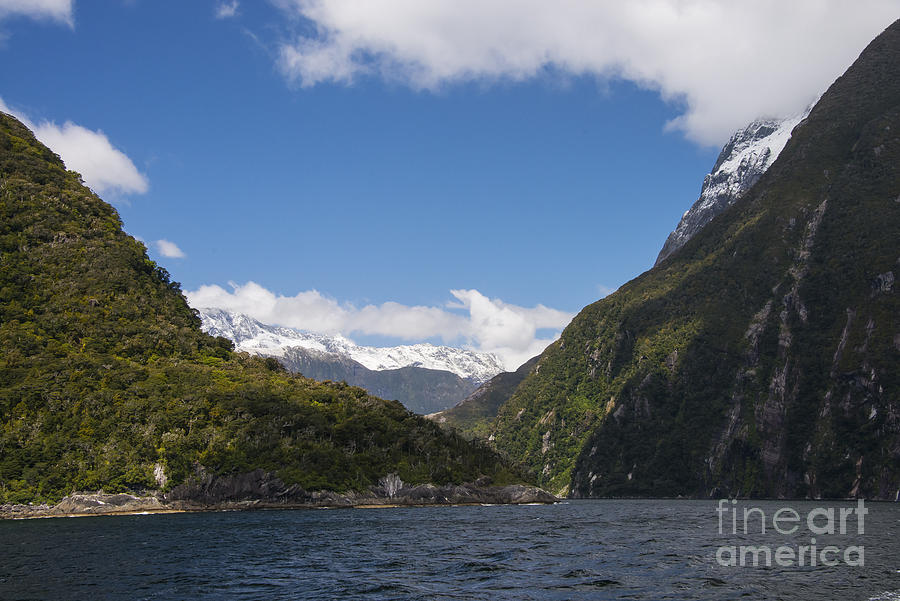 Milford Sound View Photograph by Bob Phillips