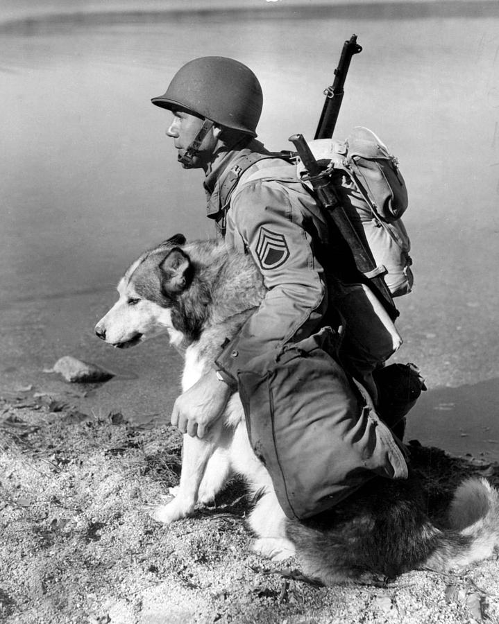 Vintage Photograph - Military Soldier And Dog Vintage  by Retro Images Archive