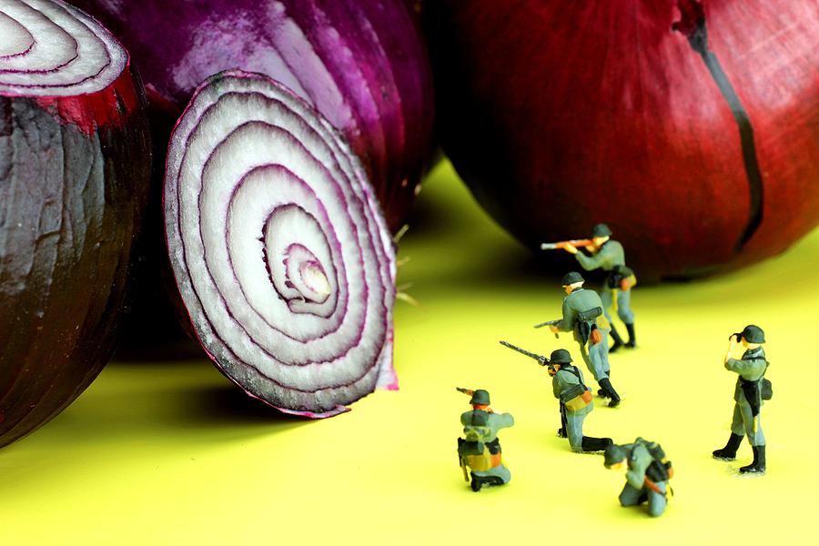 Military training with red onion little people on food Photograph by Paul Ge