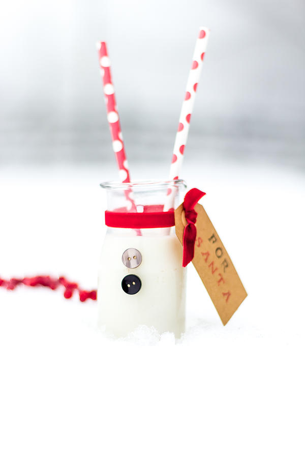Christmas Photograph - Milk and cookies for Santa III by Aldona Pivoriene