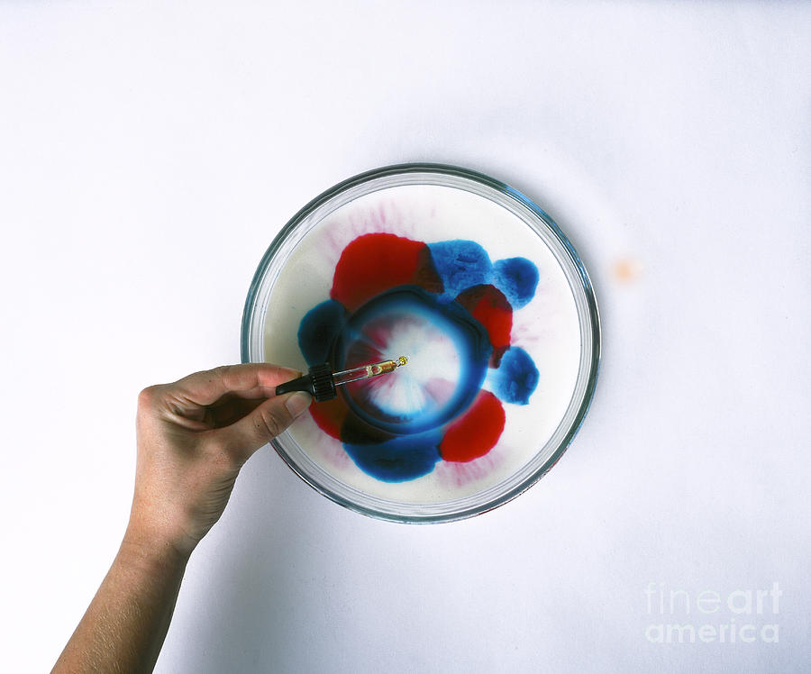 Milk And Dye, Showing Surface Tension Photograph by Trish Gant / Dorling Kindersley