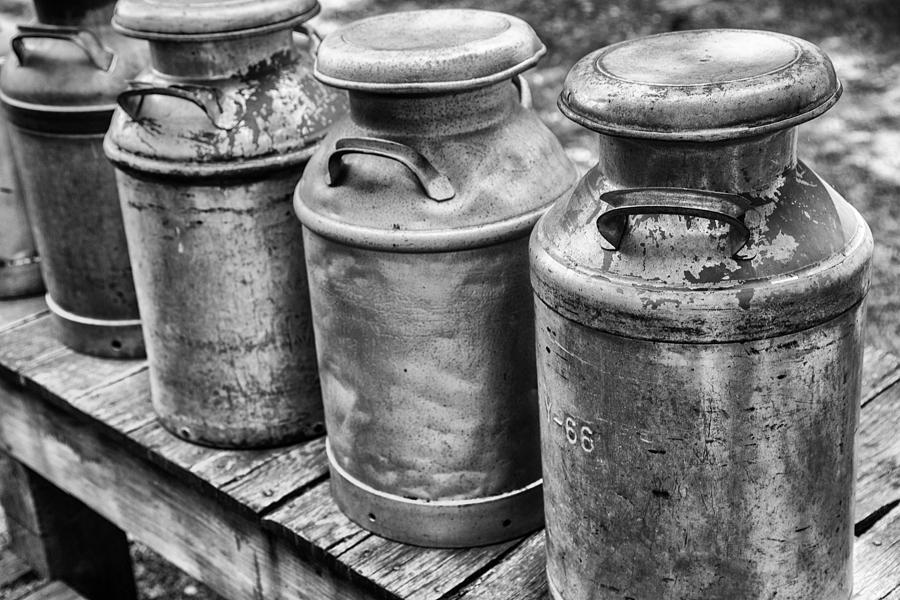 Milk Cans Photograph by Karol Livote