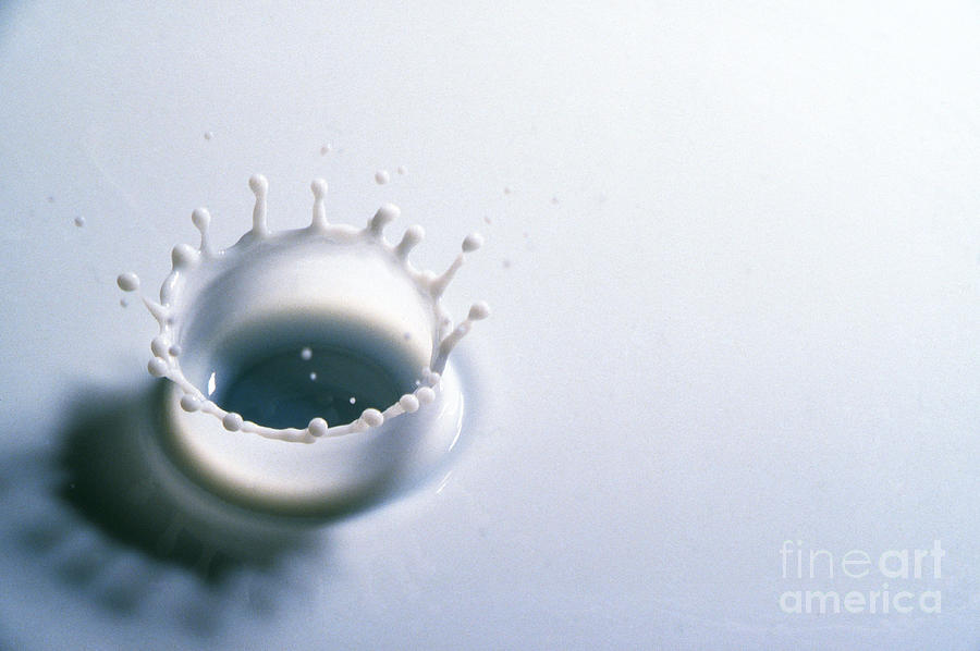 Milk Photograph - Milk Drop  by Tom Branch