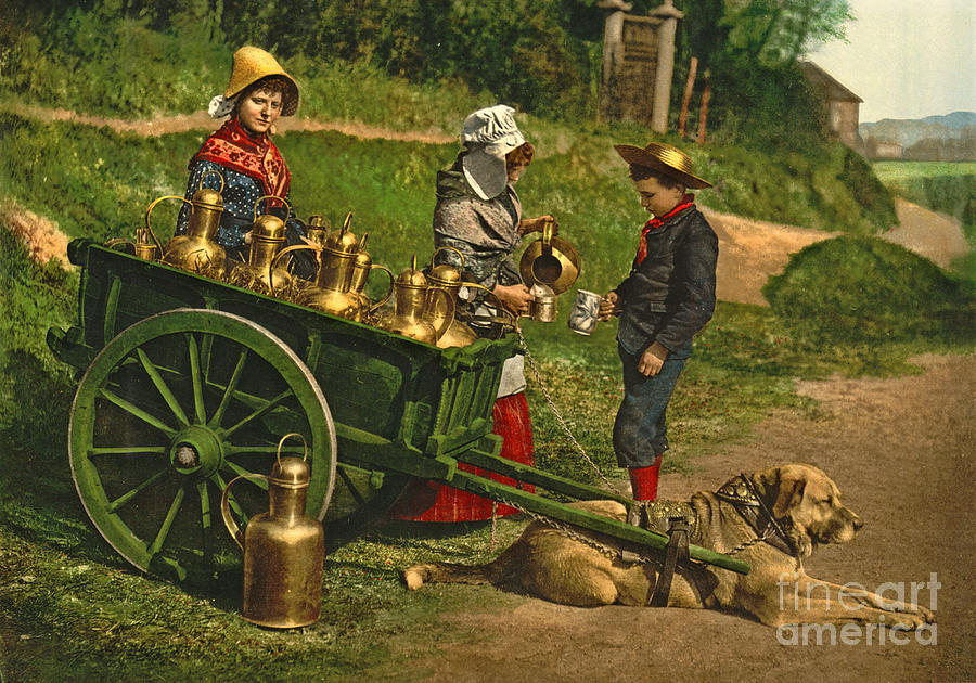 Milk Sellers Brussels Belgium 1890 Photograph by Padre Art