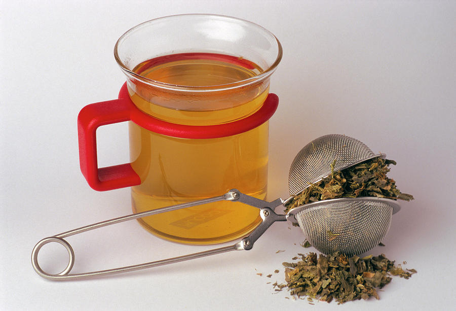 Tea Photograph - Milk Thistle Tea by Th Foto-werbung/science Photo Library