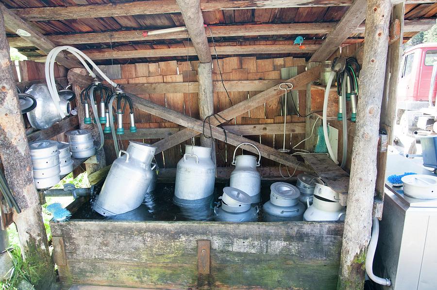 Milk Urns Cooling In Spring Water Photograph by Science Photo Library Milk Urns Cooling In Spring Water Photograph by Science Photo Library