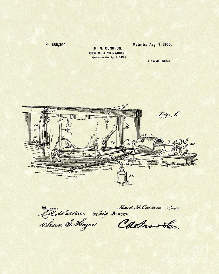 Milking Machine 1900 Patent Art Drawing by Prior Art Design