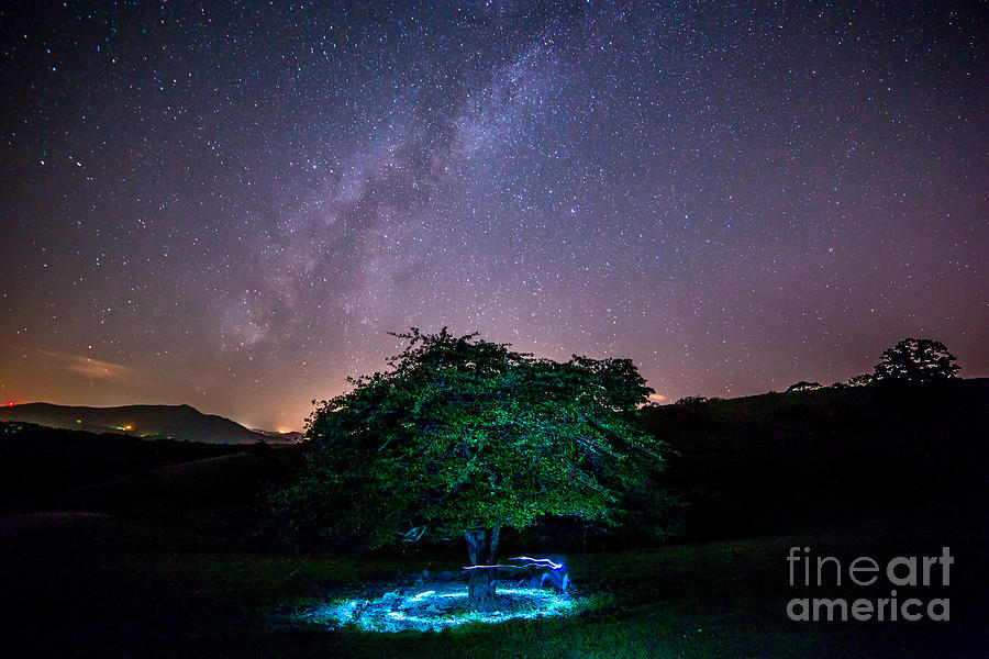 Milky Light Photograph by Robert Loe