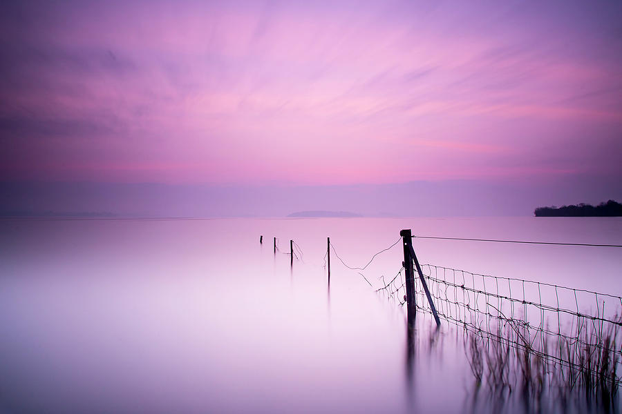 Lake Photograph - Milky Pink by Kieran O Mahony