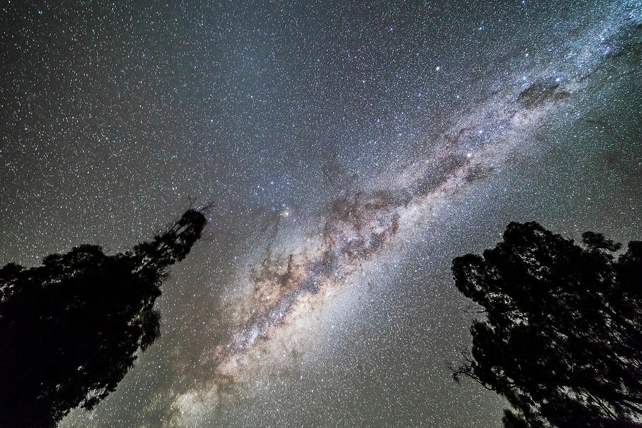 Milky Way In The Trees, From Australia Photograph by Alan Dyer - Pixels