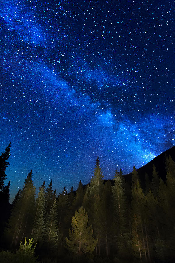 Milky Way Over The Forest by Mark Andrew Thomas