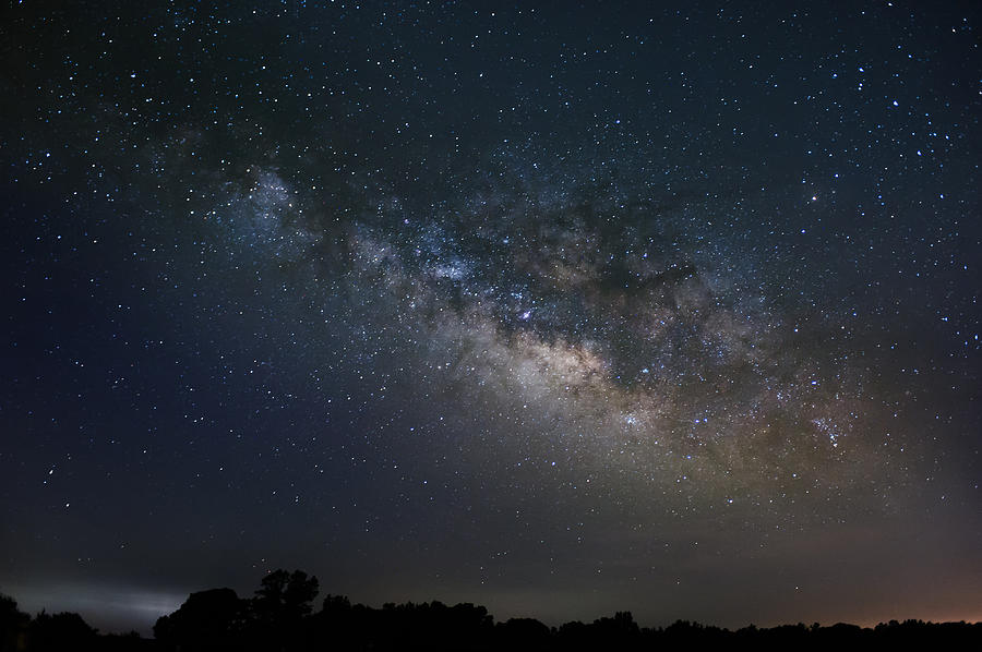 Milky Way Above The Trees Photograph by Todd Aaron