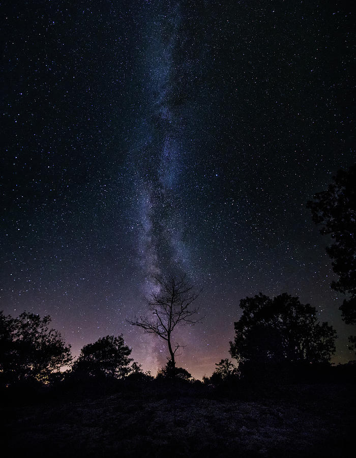 Milky Way Photograph by Sandra Herber