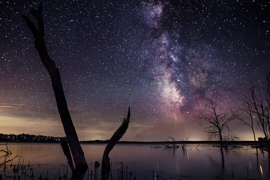 Milky Way Tree Photograph by Aaron J Groen