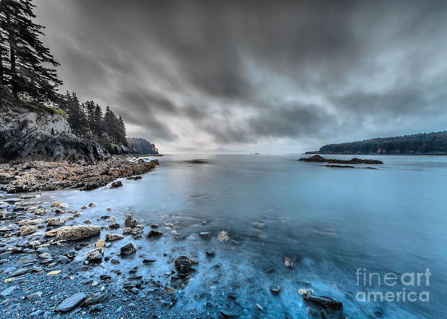 Nature Photograph - Mill Bay at Dawn by Steven Reed