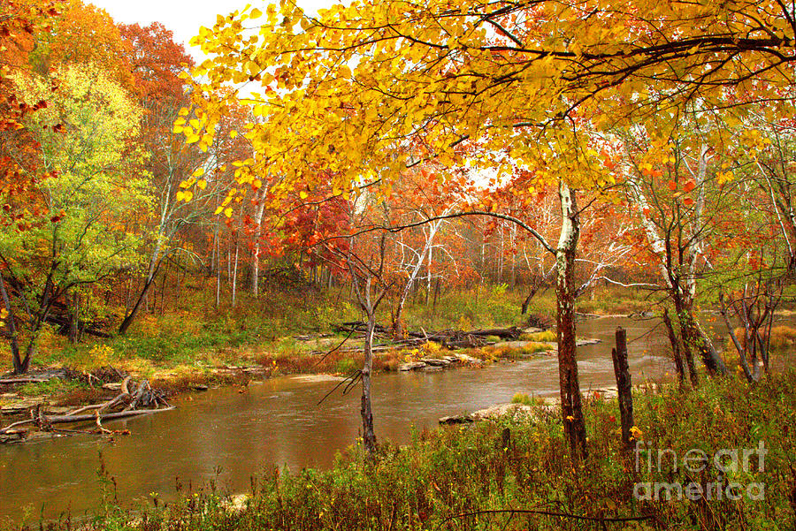 Mill Creek 1 Photograph by Jim McCain