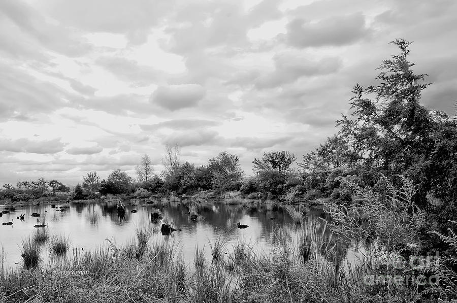 Mill Creek Marsh Serenity Photograph by Regina Geoghan