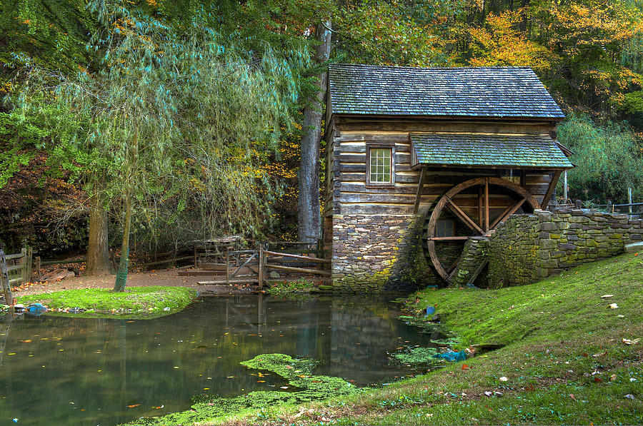 Mill Pond In Woods Photograph by William Jobes