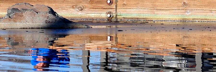Mill Pond Reflection 21701 Photograph