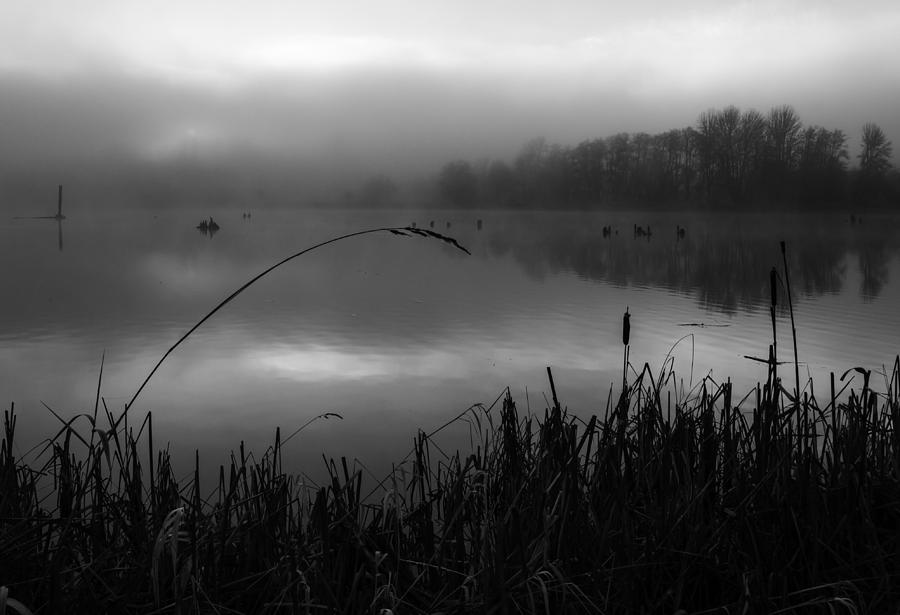 Mill Pond Sunrise bw Photograph by Curtis Knight - Fine Art America