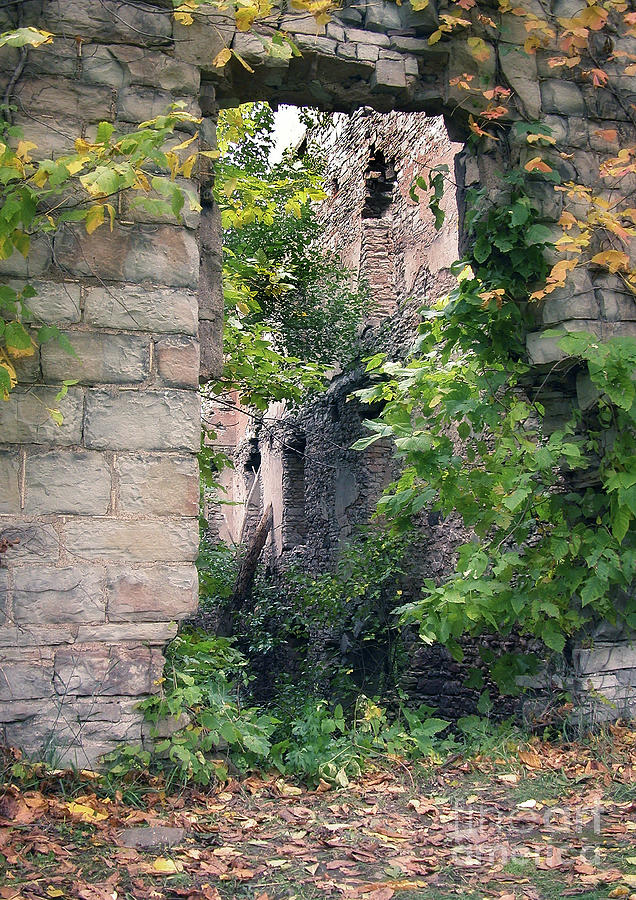 Mill Ruins Photograph by Tom Brickhouse