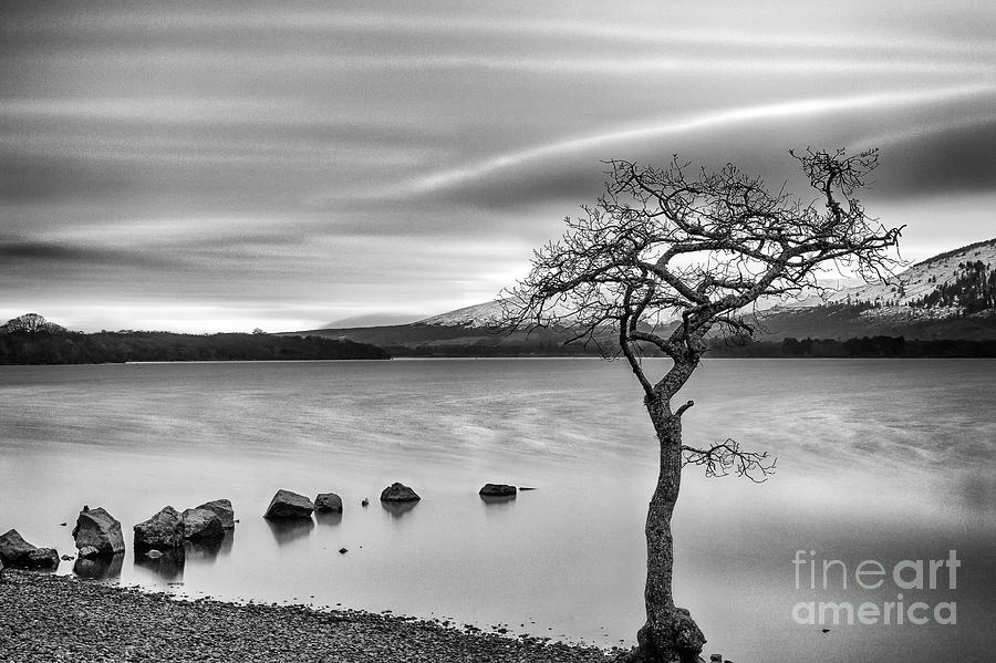 Black And White Photograph - Millarochy Bay Loch Lomond  by John Farnan